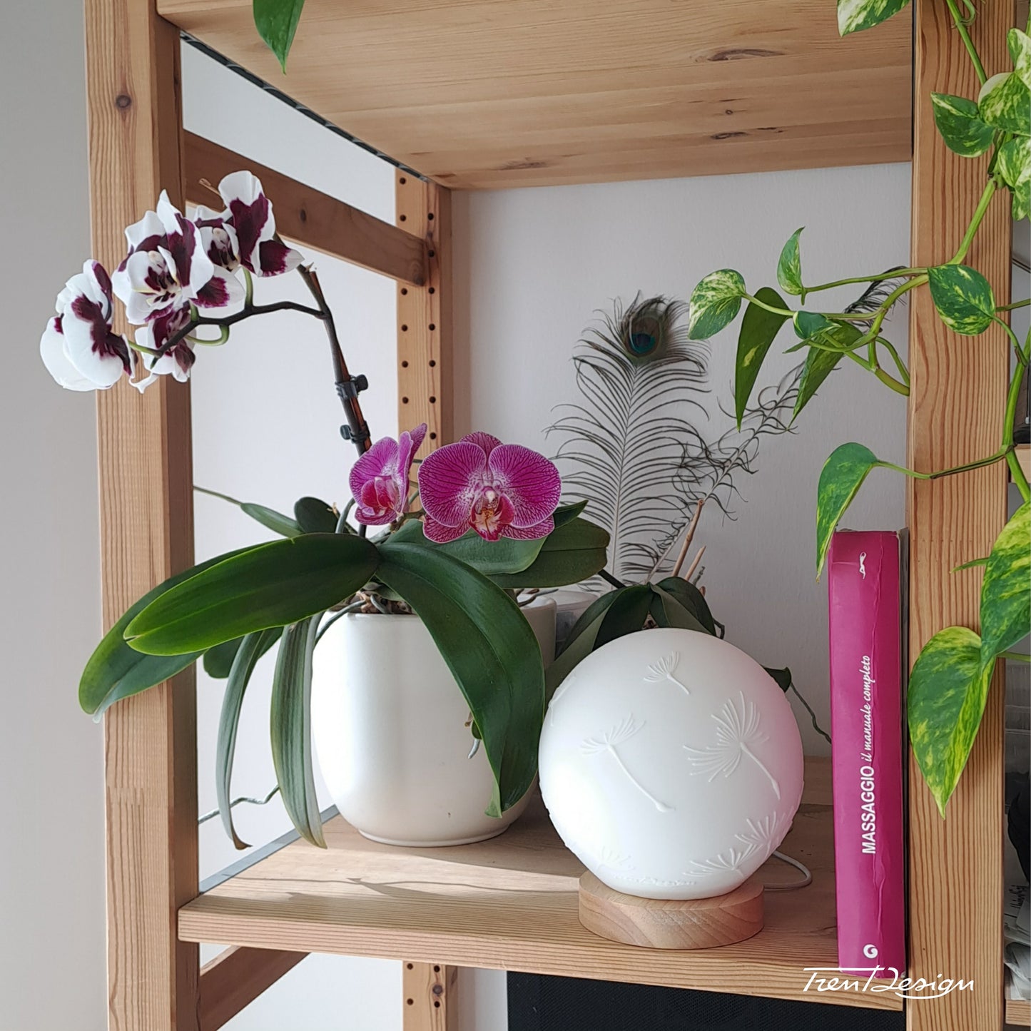LUMYA · Dandelions – LED Bio-Resin Lamp